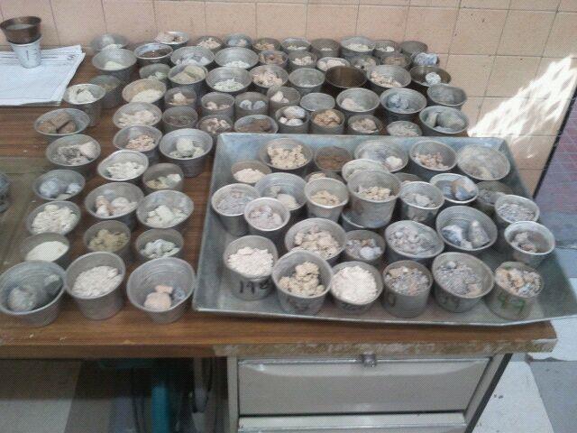 Muestras de concreto organizadas para su ensayo